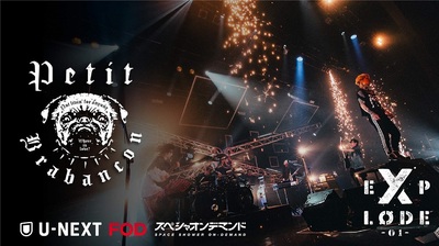 Petit Brabancon、ヴィレッジヴァンガードによるWEBカメラ
